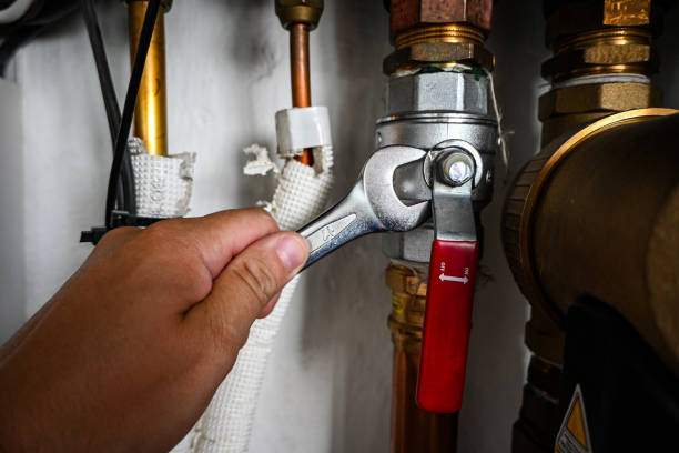 Best Local Plumber Services  in Granite City, IL